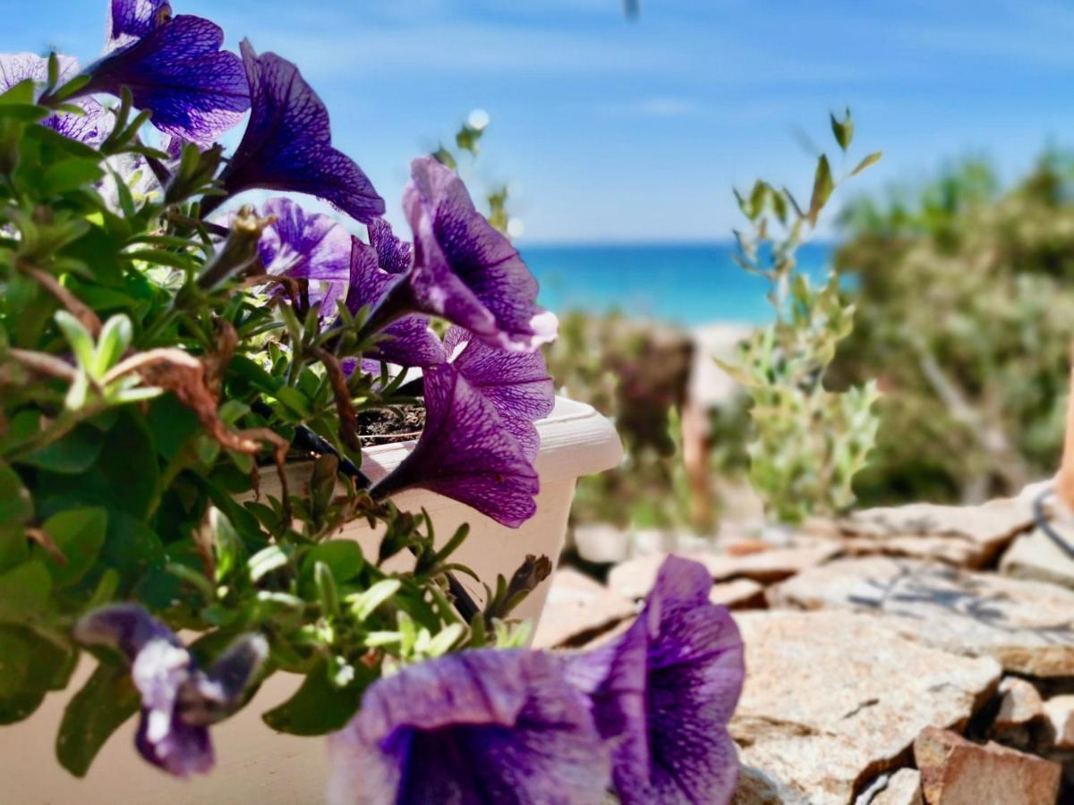 Beachfront House Geremeas Sardegnaアパートメント エクステリア 写真